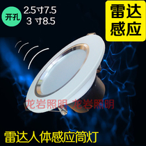 Human body induction downlight Intelligent microwave radar Human body induction ball downlight Non-infrared induction downlight