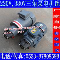 RHB-2 5 RHB-1 5 RHB-1 6 RHB-1 Cycloid gear oil pump lubrication rotor pump motor group Y