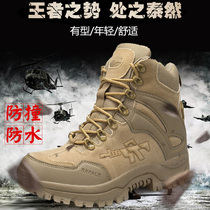 Foreign trade large size motorcycle riding shoes mens anti-collision waterproof motorcycle shoes Road racing shoes High-top military boots four seasons