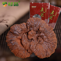 (Buy 3 get 1 free)Village product Ganoderma Lucidum Changbai Mountain purple Ganoderma Lucidum whole ganoderma lucidum can be powdered and sliced