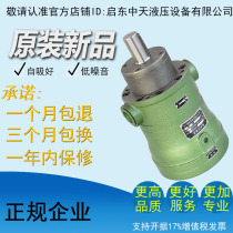 Manufacturers direct sales high - efficiency and low noise 63MCY 63MCY 14 - 1B axial piston pump