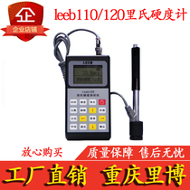 Ribo leeb110 leeb120 Portable Richter Hardness Tester Loci Die Metal Hardness Instrument