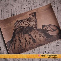 Retro style photography dust and snow poster ashes and snow people and leopard decorative painting core