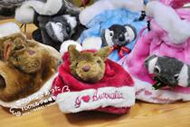 Tail Order Australia Original Single Travel Memorial Cora Tree Bag Bear Bag Squirrel Plush Bag 5