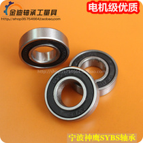 Ningbo Shenhawk SYBS 6200 6200 6201 6202 6202 6203 6204-2RS Quality Motor Z3 Group