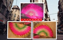 Kindergarten Phnom Penh Fan Square Dance One-foot Rose Three-color Adult Yangko Golden Spike Dance Fan Children
