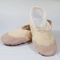 11 Great Pro Professional Supply Dance Shoes Gymnastics Shoes Low Medium-high State Jazz Boots Teacher Shoes Latin Yoga