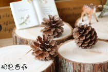 zakka natural pine cones and pine towers pastoral style Christmas day retro window decoration dried fruit photo props background