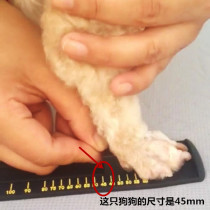 DJJ dog shoe size measuring ruler dog foot size measuring ruler DJJ special shoe size comparison ruler