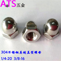 Stainless Steel 304 American Cover Nut Inch Cap Hexagon Decorative Cover Female Screw 1 4-20 3 8-16