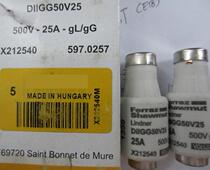 FERRAZ SHAWMUT fuse DIIGG50V25 GGL gG X212540