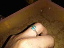 French Polypel Museum of Art 20 Century inlaid green pine stone pure silver ring