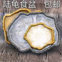 Tortoises bowl basin lizard Horned Frogs gecko radiation water disc Trencher huang yuan gui pa chong xiang each number can pen