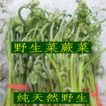 Bagged the 21 years that has expired between Pteridium aquilinum vegetables quan tou cai leading dragon claw cai Xiao Hinggan Mountains wild check dishes edible wild herbs