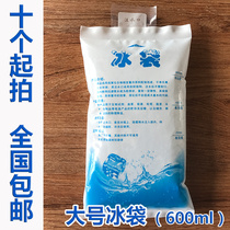 Water Injection Icing Bag 600ml Aquatic Seafood Express Transport Preservation Refrigerated Food Fruit Medicine Cold Compress Ice Pack