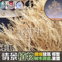  Doraemon] Thorn quinoa Dutch dried flower trees Model railway train soldiers platform building sand table scene