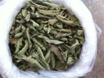 Wild Guava Tea 100 gr Red Hearts Ballet Peach Leaf Herbal Tea Tree Leaf Tea Water Tea Leaves Tea Leaves