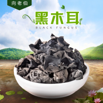 To The Old Man new goods black fungus special grade fungus farmhouse black fungus dry goods autumn fungus root 5kg