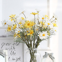 5 head simulation flower small daisies decorative flowers Plastic fake flowers Dutch Chrysanthemum living room dining table flower silk flower decoration flowers