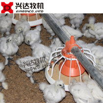 Silkworm bone chicken automatic feeding system Flat broiler breeding material line automatic chicken equipment factory direct sales