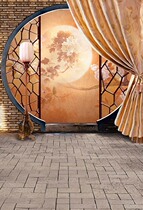 Plate woman costume background paper studio theme costume photo background photo studio costume background cloth Moon