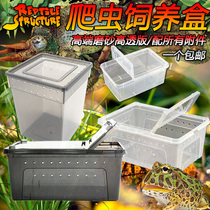 Reptile climbing pet spider guarding lizard Scorpion Centipede Horned frog turtle Snail feeding box Pet snake Plastic feeding box