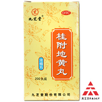 Jiuzhitang Guifu Dihuang Pills 200 Wenjiu Yang waist knee sore soft limb cold frequent urination medicine