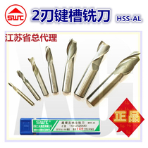  Southwest Tools SWT Sowett keyway milling cutter 2-blade white steel flat-bottomed precision milling cutter G120 Southwest milling cutter