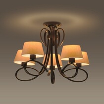 Panasonic lantern chandelier simple living room lamp bedroom dining room lamp French European style country lantern HH-LM5002