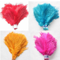 Cos headdress natural decoration feathers single feather color ostrich feathers 5 yuan each