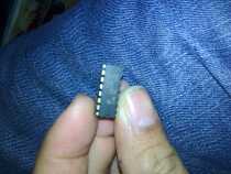 CL2182 CL2181 spot new original