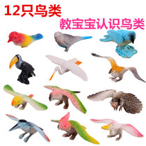 1 Simulation model of bird animal puzzle toy toy for sale of toys and childrens toys
