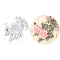 Meticulous painting drawing drawing tracing physical printing Liang Yansheng Peony sketch 42*42 with color drawing 317T