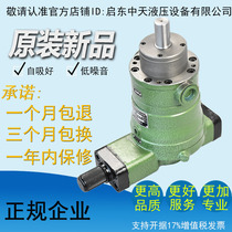 Factory direct high quality high efficiency and low noise 10YCY 10y141b oil pump