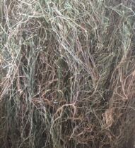  Snake tongue grass New wild Baihua Mountain snake tongue grass White flower snake tongue grass Black bone snake tongue grass 500g