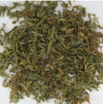 Chinese Herbs Chinese Herbs Shenjincao 500g