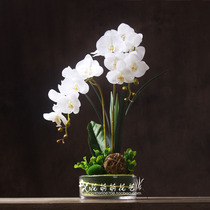 High Quality Feel Butterfly Lan Emulation Flower Suit Living Room Flower Arrangement Room Putting Flowers Floral Decorations Hem