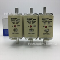 chnt Chint NRT36-00 NH00 fuse 500V-120KA 690V-50KA gG 160A 125A