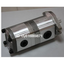  Taiwan Ruili REXPOWER double gear pump RGP-F308 310R RGP-F308R F310R