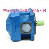 Shanghai machine tool factory grinder foaming machine special internal meshing gear pump GPA2-10-E-20-R6 3