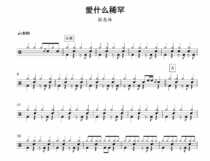 (207) Zhang Huimei-What do you love rare drums jazz drums and drums