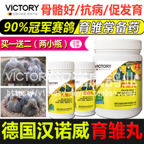 Hannover pigeon medicine pigeon medicine brood pill Racing Pigeon Pigeon supplies medicine young pigeon nutrition brood treasure