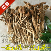 New Products New Goods Farmhouse Tea Tree Mushrooms Not Open Umbrella Tea Tree Mushrooms 250g Ice Mushrooms Tea Tree Mushrooms Dried Goods Crisp