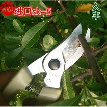 Taiwan imported carbon steel garden tools flower scissors pruning branches fruit tree scissors pruning fruit pruning