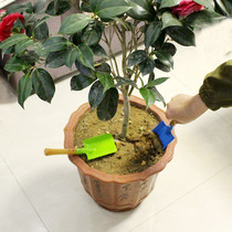 Q planting flower small shovel green plant flower potted mini flower shovel wooden handle gardening tool shovel multifunctional small shovel