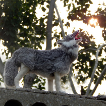 Simulation wolf model ornaments Simulation rabbit skin animal wolf plush toys Fake Wolf crafts Town house evil spirits totem