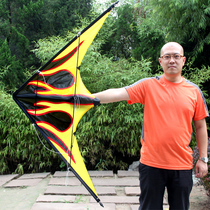 Weifang kite double line stunt kite sports kite stunt flame loud