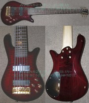 Customer customised Schectasr 6 strings electric bex AQ76