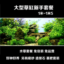 80cm~1 meter 5 water grass tank landscaping~Water grass package~Novice water grass~Aquarium real water grass~Fish tank landscaping