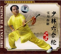  Genuine CD Shaolin Liuhe Gun VCD Martial arts disc Self-study tutorial disc Teaching video CD